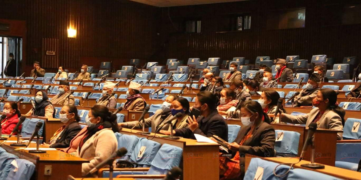प्रतिनिधिसभामा बजेटमाथि सैद्धान्तिक छलफल सुरु