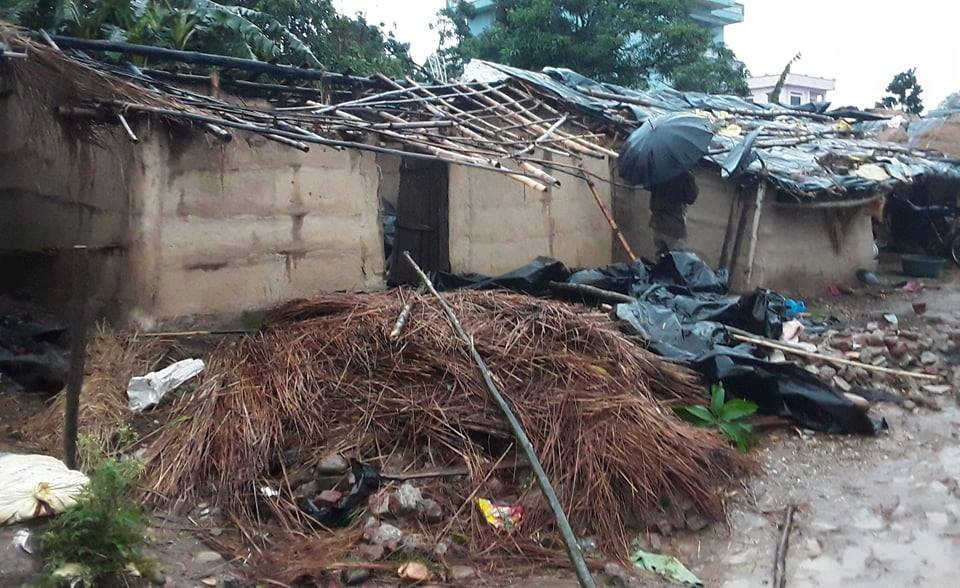 कैलाली र कञ्चनपुरमा हावाहुरीले ठूलो क्षति