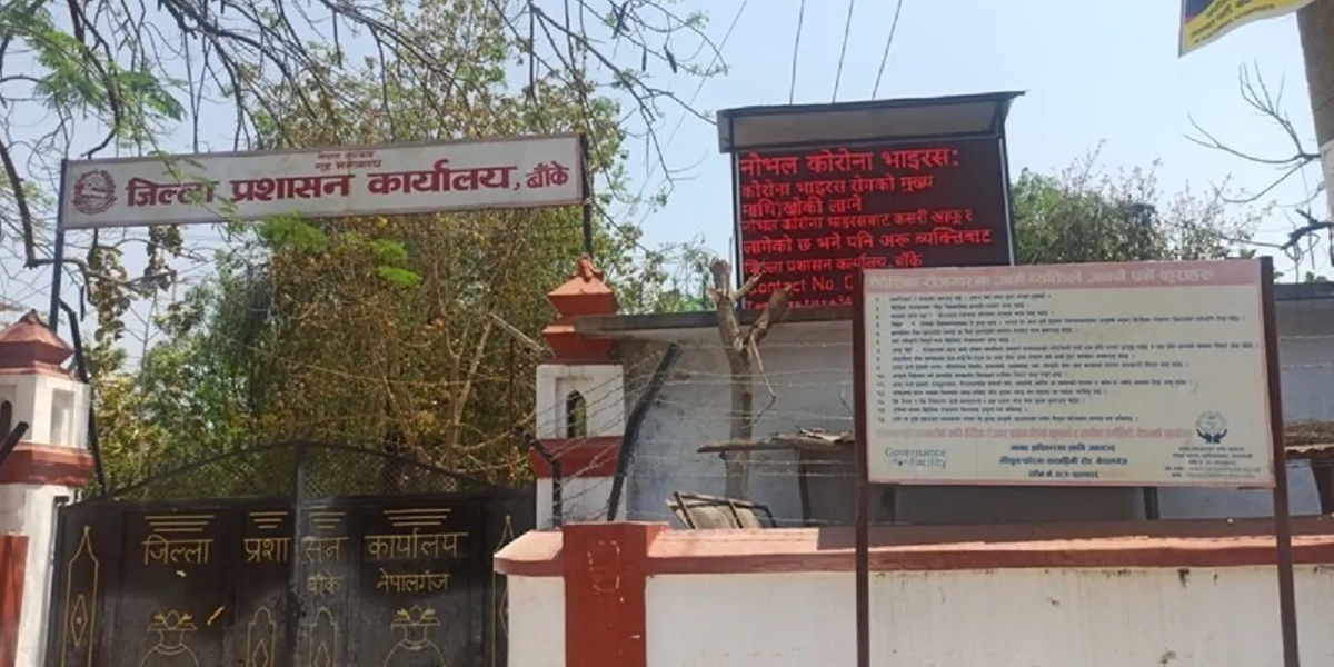 डेंगु रोगीको सङ्ख्या ५० हजार नाघ्यो, ५५ जनाको मृत्यु