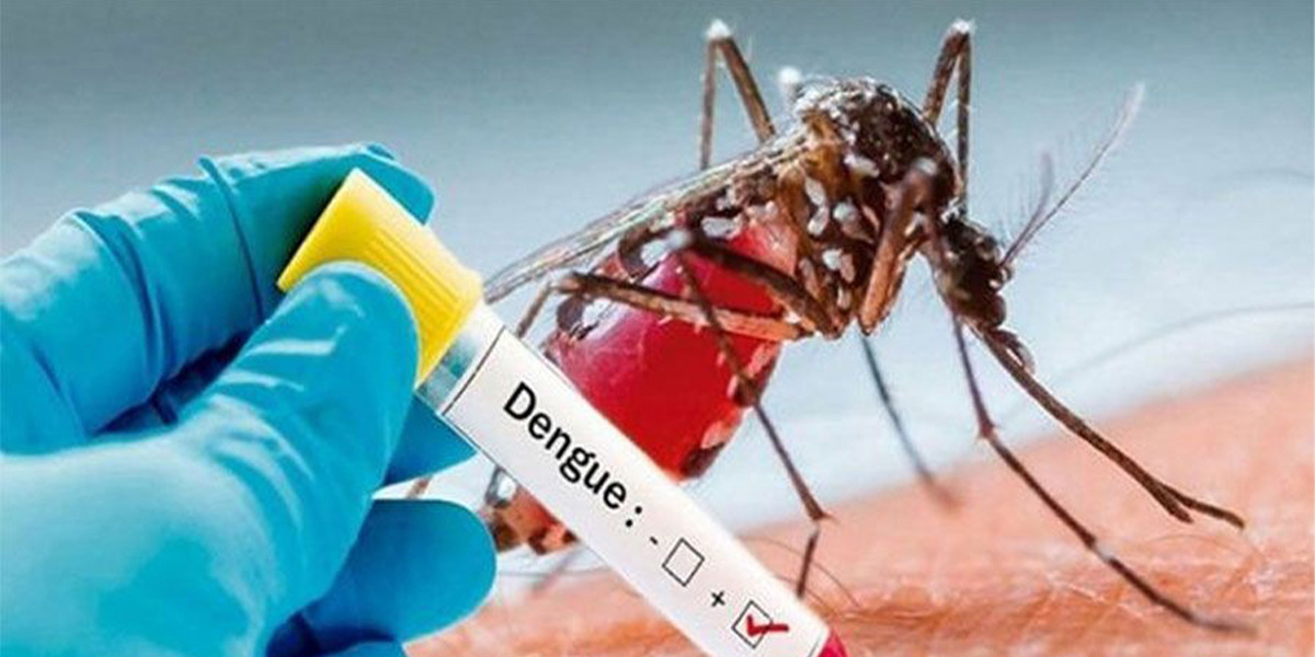 डेङ्गुको संक्रमण बढ्दो, नियन्त्रणको कार्य फितलो